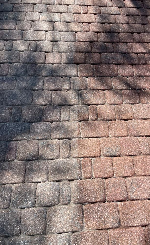 Slide of Palm City Wash N Seal