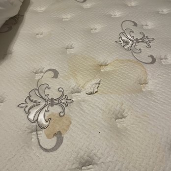 Quarter House Resort - Toilet paper? Tissue paper found under mattress cover of urine stained, king mattress. - Hotels Near Me - New Orleans, Louisiana Quarter House Resort - Toilet paper? Tissue paper found under mattress cover of urine stained, king mattress. - Hotels Near Me - New Orleans, Louisiana