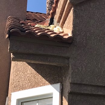 HomeCrown Roofing - Insulation foam instead of fixing it right - Roofing Near Me