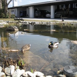 Restaurant Alpenhof Murnau