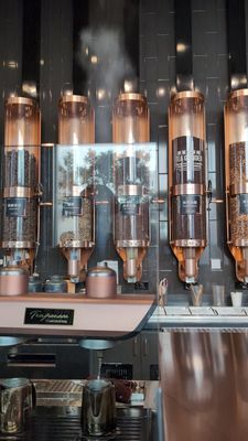 COMEBUYTEA - Bella Terra by null