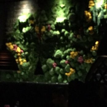 Cellar 335 - Living art/floral wall, just spectacular! - Cocktail Bars Near Me - Jersey City, New Jersey Cellar 335 - Living art/floral wall, just spectacular! - Cocktail Bars Near Me - Jersey City, New Jersey