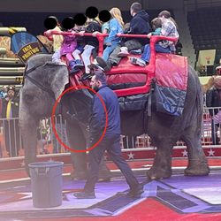 Shrine Circus