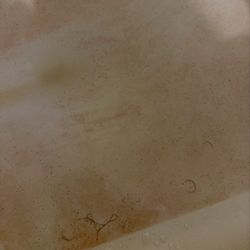 Rogue River Landing RV & Resort - Dirty tub with hair.