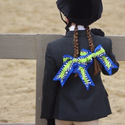 Sun Valley Equestrian - Little equestrian