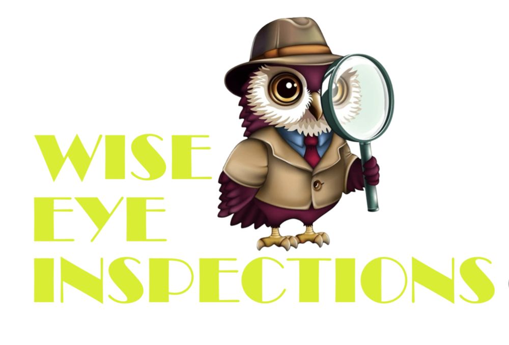 Wise Eye Inspections - mold inspector in Akron, OH