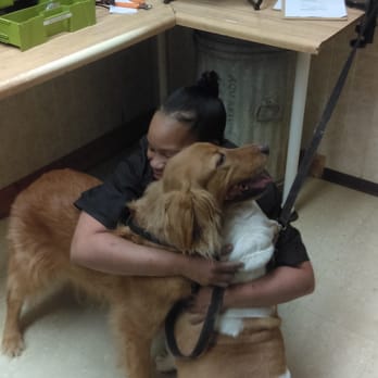 Park Pet Shop - Awe! Group hug! - Pet Stores Near Me - Chicago, Illinois Park Pet Shop - Awe! Group hug! - Pet Stores Near Me - Chicago, Illinois