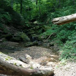 Pequea Creek Campground