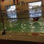 Photo of Marty Robbins Indoor Pool