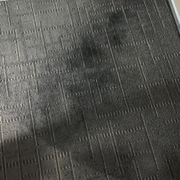 Nasty I cleaned carpet