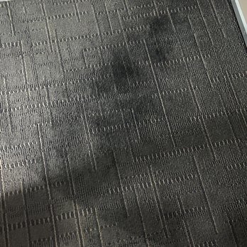 Hampton Inn Jupiter/Juno Beach - Nasty I cleaned carpet - Hotels Near Me - Juno Beach, Florida
