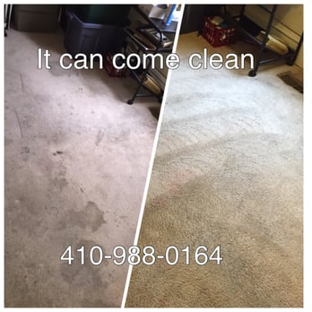 Come Clean Carpet Care - 4 years 4 kids - Carpet Cleaning Near Me