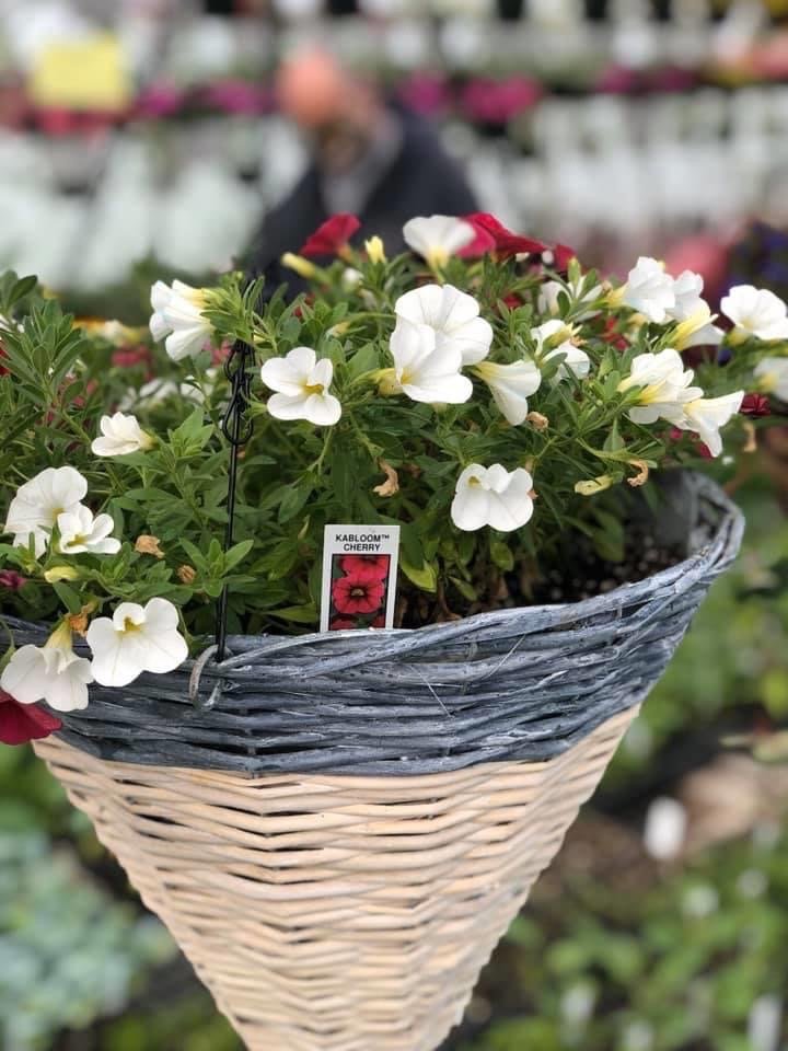 Fleckenstein Farms - beekeeping in Ransomville, NY