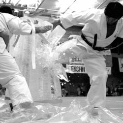 Enshin Karate