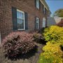 Photo of MS Lawn Care