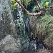 Photo of Escondido Canyon Park - Malibu, CA, United States. Lush and Green! Waterfall hideout