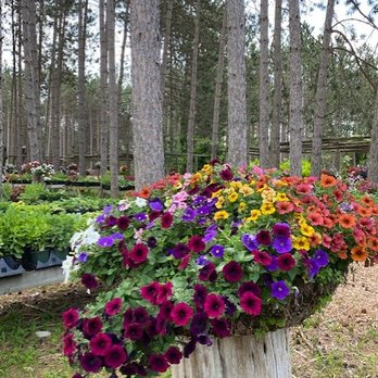 Johansson Heritage Farm - Magical tree stump flower display. - Nurseries & Gardening Near Me - Petoskey, Michigan