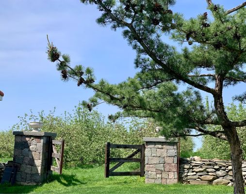 Fjord Vineyards by null