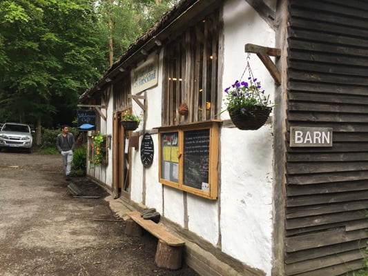 Wilderness Wood by null