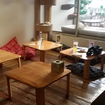 Miao Cat Cafe - Cafes Near Me - Quezon City, NCR Miao Cat Cafe - Cafes Near Me - Quezon City, NCR