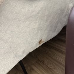 Evergreen Retirement Residence - Fecal matter on sheets