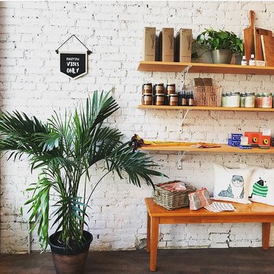 Fort Orange General Store by null