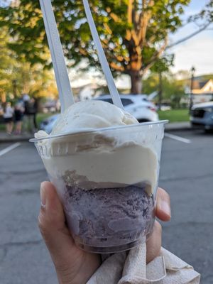 Mount Desert Island Ice Cream by null