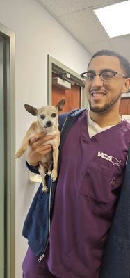 VCA ARBORETUM VIEW ANIMAL HOSPITAL - Updated February 2026 - 63 Photos