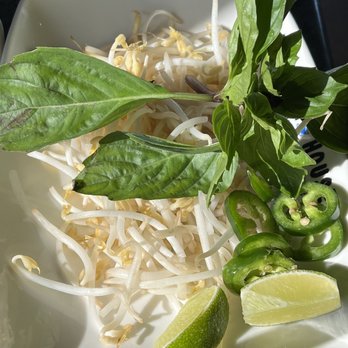 Pho House - Extras that come for your pho soups. - Vietnamese Near Me - Rosenberg, Texas