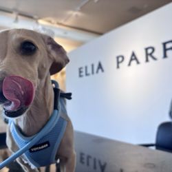 Elia Parfum