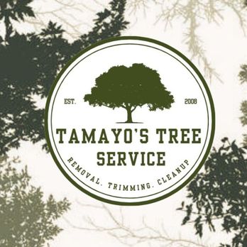 Tamayo's Tree Service - Tree Services Near Me - Sacramento, California Tamayo's Tree Service - Tree Services Near Me - Sacramento, California
