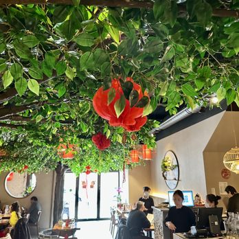 Han Palace - Dim Sum Near Me - Washington, DC, District of Columbia