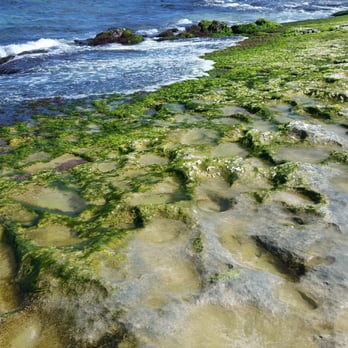 Laniakea Beach - Craters - Beaches Near Me - Haleiwa, Hawaii Laniakea Beach - Craters - Beaches Near Me - Haleiwa, Hawaii