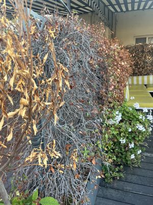 Hollywood Tower Apartments by null