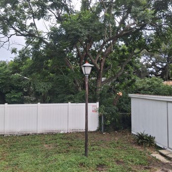 Just US & Trees - Tree Services Near Me - New Port Richey, Florida Just US & Trees - Tree Services Near Me - New Port Richey, Florida