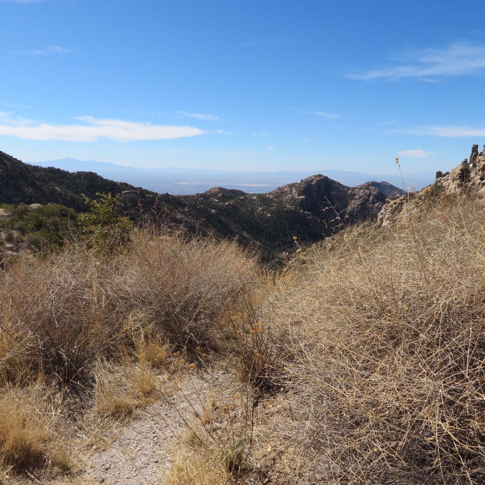 Mount Lemmon - Hiking Near Me - Tucson, Arizona Mount Lemmon - Hiking Near Me - Tucson, Arizona