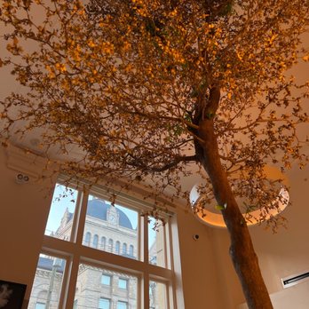 Lockbox - a tree in the middle of a room - Southern Near Me - Lexington, Kentucky Lockbox - a tree in the middle of a room - Southern Near Me - Lexington, Kentucky