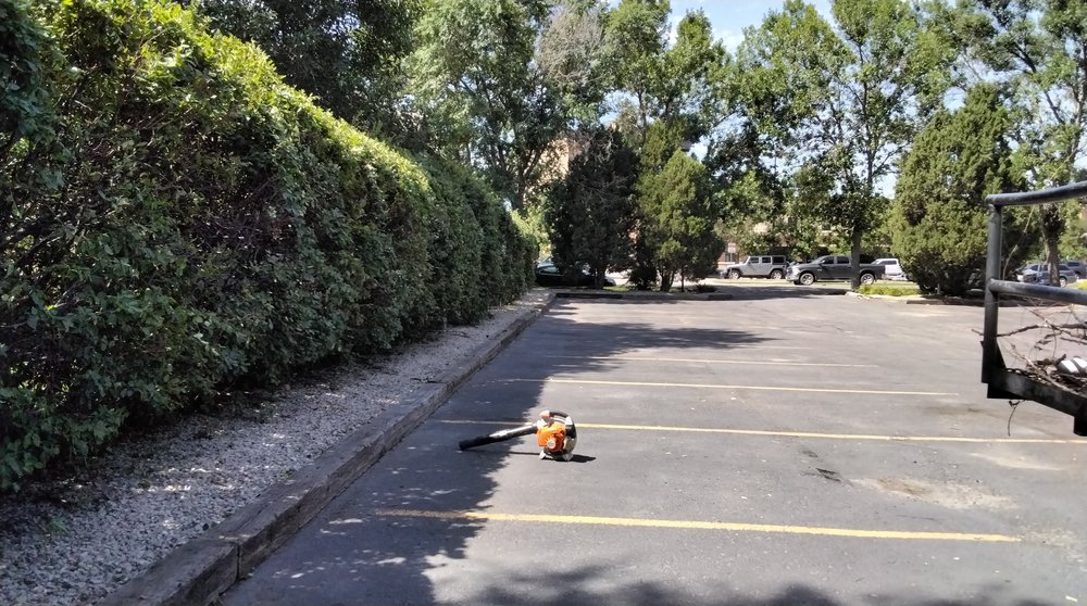 FRONTIER TREE & PEST CONTROL 16 Photos 104 Custer Ave, Billings