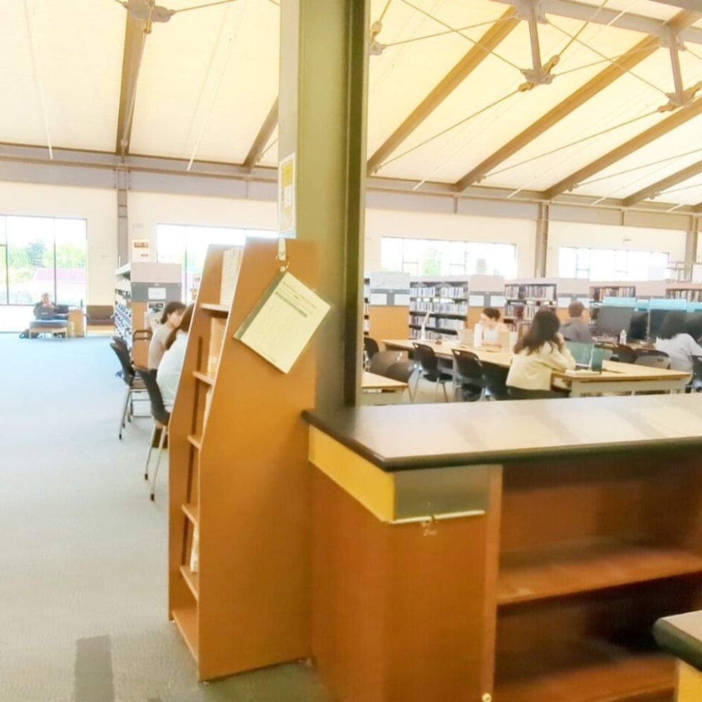 TOP 10 BEST Study Places near Cupertino, CA 95014 - Updated 2026 - Yelp