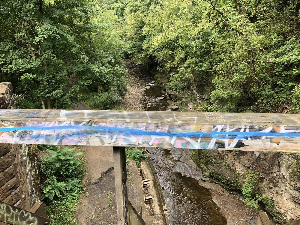 BEECHVIEW SELDOM SEEN GREENWAY Updated September 2024 80 Photos