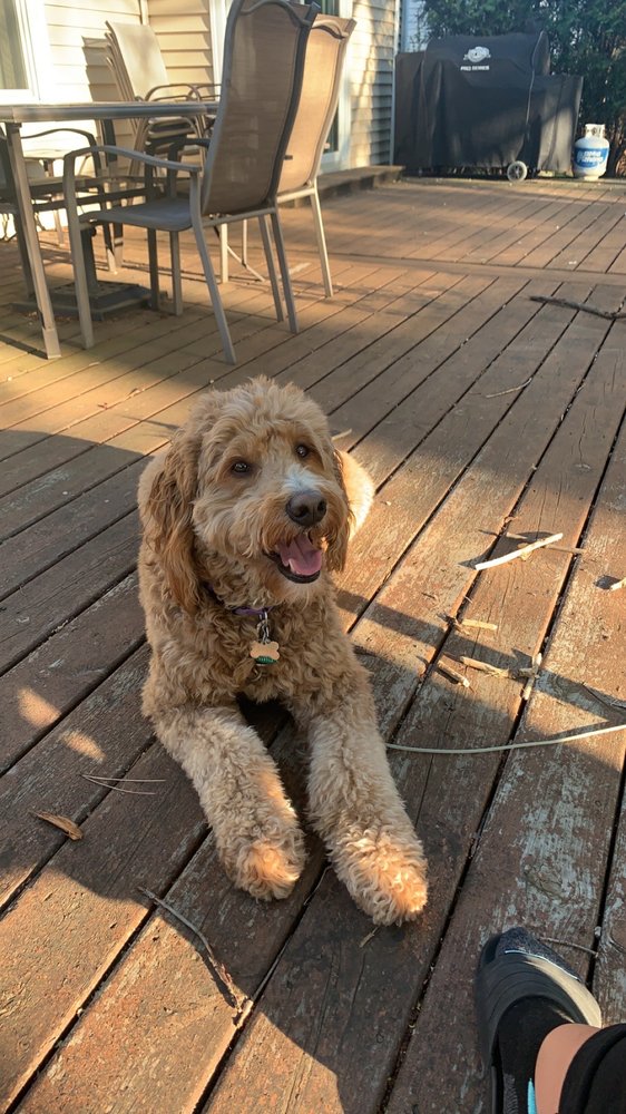 CLIPS ‘N WIGGLES Updated October 2024 30 Photos & 31 Reviews 4065