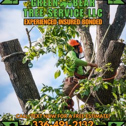 Green Bear Tree Service
