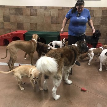 PetSmart - Pet Stores Near Me - Beaverton, Oregon PetSmart - Pet Stores Near Me - Beaverton, Oregon