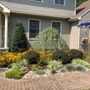 Photo of Green Thumb Landscaping