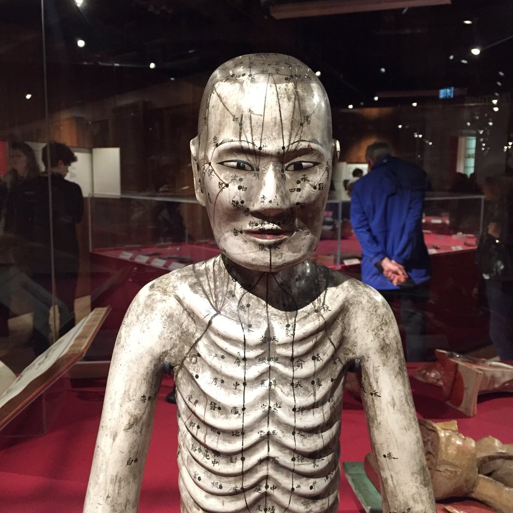 Wellcome Collection - Museums Near Me - London, XGL