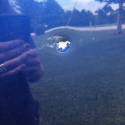 Roach Auto Parts - Before half dollar sized rock impact from lawn mower