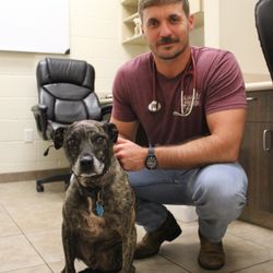 Petal Animal Clinic - Dr. Jace Belcher, loving on a sweet pup after a wellness visit!