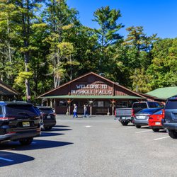 Bushkill Falls