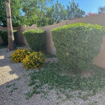 Greenify Arizona - Tree Trimming - Landscaping Near Me