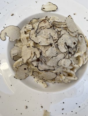 Forte dei Marmi by null